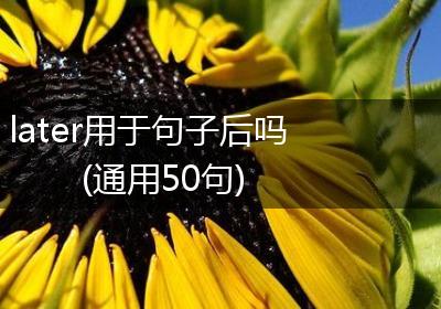 later用于句子后吗(通用50句)