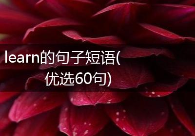 learn的句子短语(优选60句)