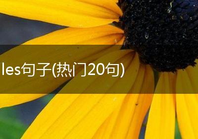 les句子(热门20句)