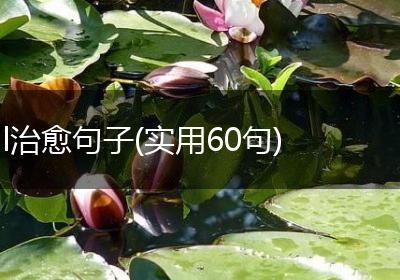 l治愈句子(实用60句)