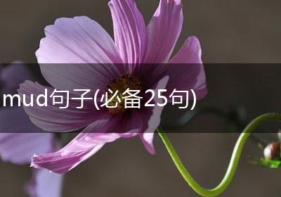 mud句子(必备25句)