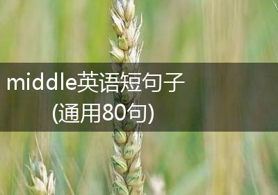 middle英语短句子(通用80句)