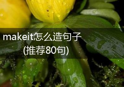 makeit怎么造句子(推荐80句)