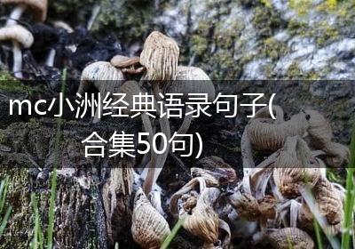 mc小洲经典语录句子(合集50句)
