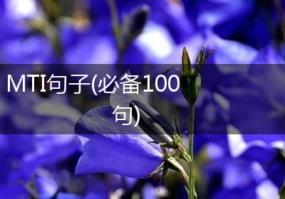 MTI句子(必备100句)