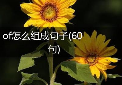 of怎么组成句子(60句)