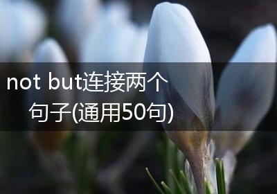 not but连接两个句子(通用50句)