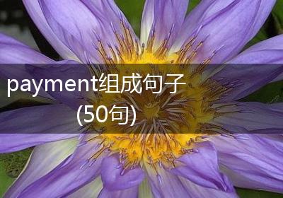 payment组成句子(50句)