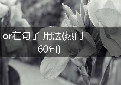 or在句子 用法(热门60句)