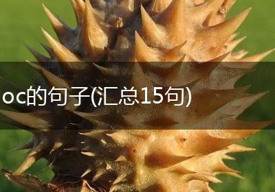 oc的句子(汇总15句)