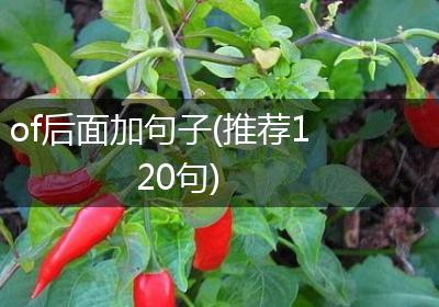 of后面加句子(推荐120句)