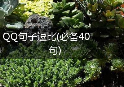 QQ句子逗比(必备40句)