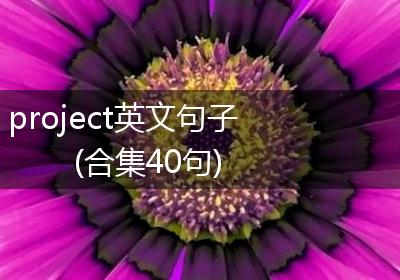 project英文句子(合集40句)