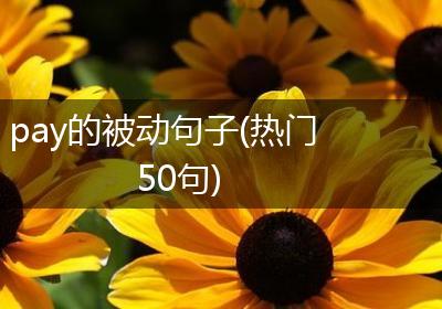 pay的被动句子(热门50句)