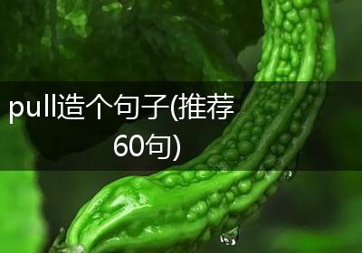 pull造个句子(推荐60句)