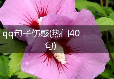 qq句子伤感(热门40句)