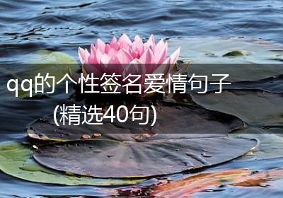 qq的个性签名爱情句子(精选40句)