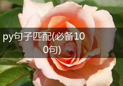 py句子匹配(必备100句)