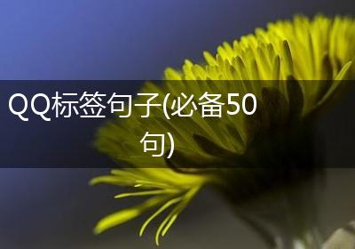 QQ标签句子(必备50句)