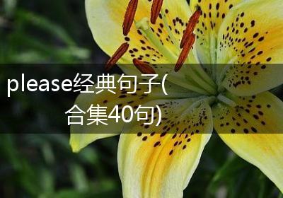 please经典句子(合集40句)