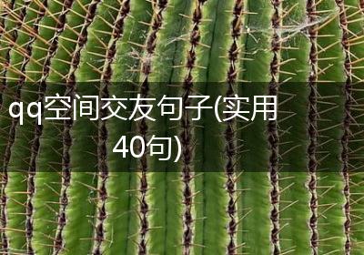qq空间交友句子(实用40句)