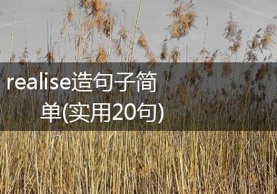 realise造句子简单(实用20句)