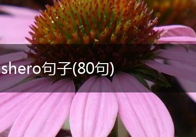shero句子(80句)