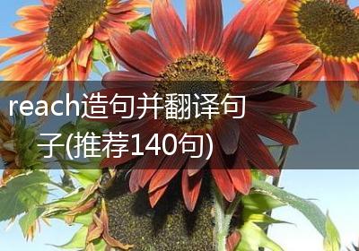 reach造句并翻译句子(推荐140句)