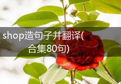 shop造句子并翻译(合集80句)