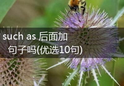 such as 后面加句子吗(优选10句)