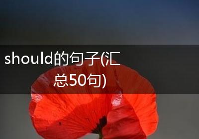 should的句子(汇总50句)