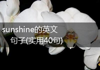 sunshine的英文句子(实用40句)