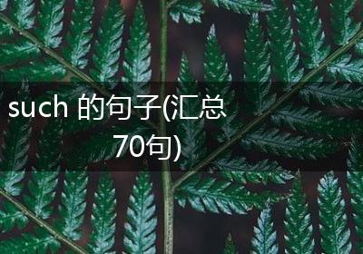 such 的句子(汇总70句)
