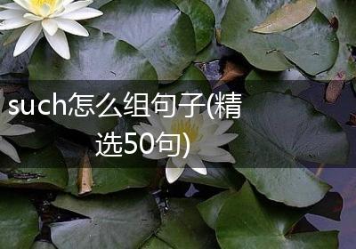 such怎么组句子(精选50句)