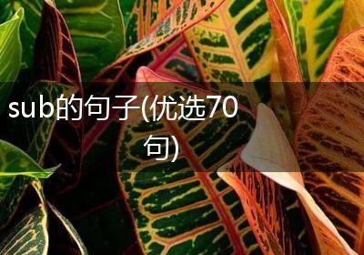 sub的句子(优选70句)