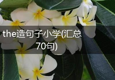 the造句子小学(汇总70句)