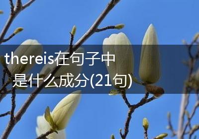 thereis在句子中是什么成分(21句)