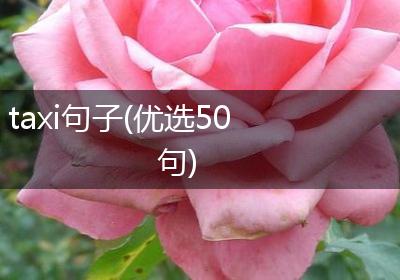 taxi句子(优选50句)