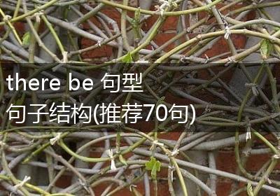 there be 句型句子结构(推荐70句)