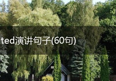 ted演讲句子(60句)