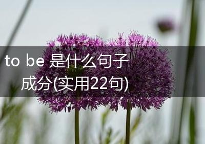 to be 是什么句子成分(实用22句)