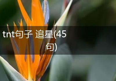 tnt句子 追星(45句)