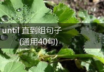 until 直到组句子(通用40句)