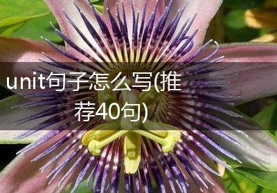 unit句子怎么写(推荐40句)