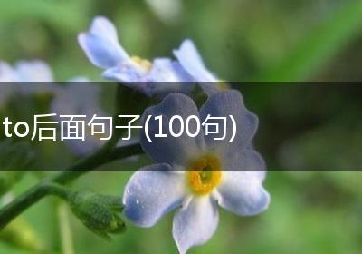 to后面句子(100句)