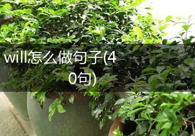 will怎么做句子(40句)