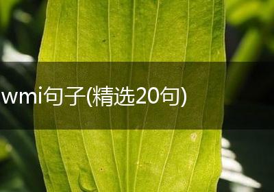 wmi句子(精选20句)