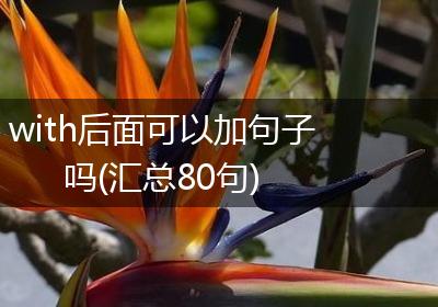 with后面可以加句子吗(汇总80句)