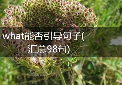 what能否引导句子(汇总98句)