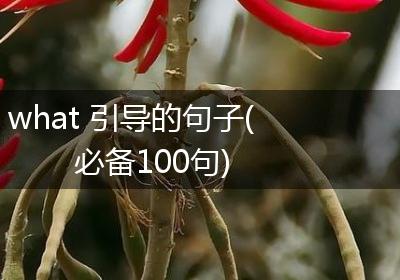 what 引导的句子(必备100句)